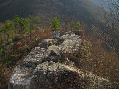 Shinbone Ridge
Foster's Fort, 2017
