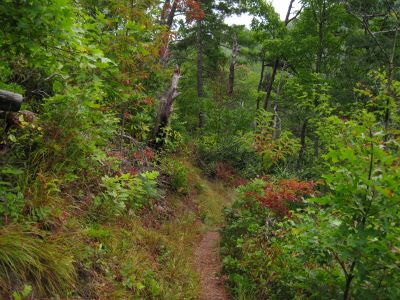 Trail Over No Business Knob
Rat's Birthday Hike, 2013
Day 5
