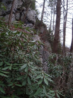 OKeepa's Cliffs
12-6-2017
