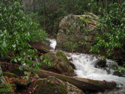 Cascades on Rock Creek
Rock Creek on Unaka Mountain, 
12-25-1015
