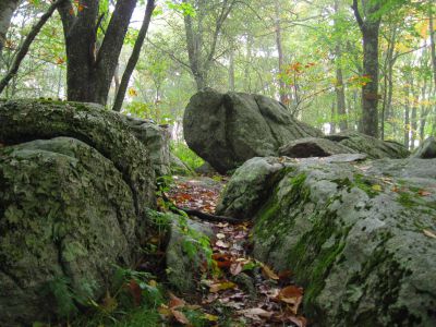 Summit Boulders on Bluff Mountain
Elevation, 4,686
September, 2010

