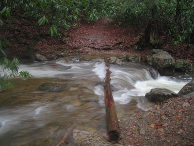 Creek Crossing
Rock Creek on Unaka Mountain, 
12-25-1015
