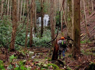 Larry Jarrett
...Hiking up to the Middle Falls on Simmons Branch.
Rich Mountain, 
12-26-2015
