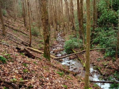 Simmons Branch
Rich Mountain, 
12-26-2015
