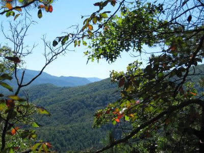 View From Deer Park Mountain
Mountains lining the French Broad River Gorge.
September, 2010

