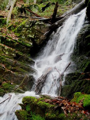 Upper Simmons Branch Falls
Mid part of upper falls.
Rich Mountain, 
12-26-2015
