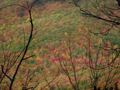 View From Little Bald Bluff
Little Bald Mountain
October, 2010
