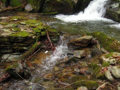 The Swimming Pool
...below the Hidden Falls,
Higgins Creek, 
1-1-2016
