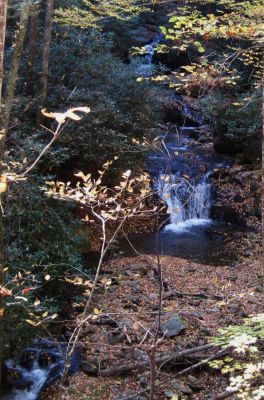 Devil's Fork Falls
These falls are near Rocky Fork (not to be confused with the 'Devil's Fork Falls' in the Sampson Wilderness)
October, 2010
