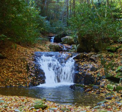 Lower Devil's Fork Falls
These falls are near Rocky Fork (not to be confused with the 'Devil's Fork Falls' in the Sampson Wilderness)
October, 2010
