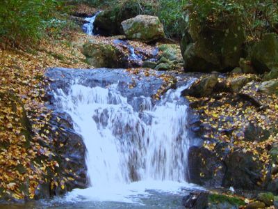 Lower Devil's Fork Falls
These falls are near Rocky Fork (not to be confused with the 'Devil's Fork Falls' in the Sampson Wilderness)
October, 2010
