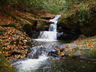 (Lower-Middle) Devil's Fork Falls
These falls are near Rocky Fork (not to be confused with the 'Devil's Fork Falls' in the Sampson Wilderness)
October, 2010
