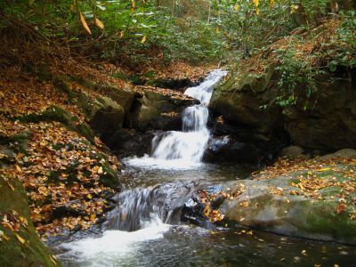 (Lower-Middle) Devil's Fork Falls
These falls are near Rocky Fork (not to be confused with the 'Devil's Fork Falls' in the Sampson Wilderness)
October, 2010
