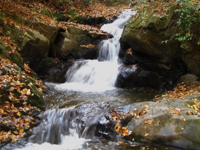 (Lower-Middle) Devil's Fork Falls
These falls are near Rocky Fork (not to be confused with the 'Devil's Fork Falls' in the Sampson Wilderness)
October, 2010

