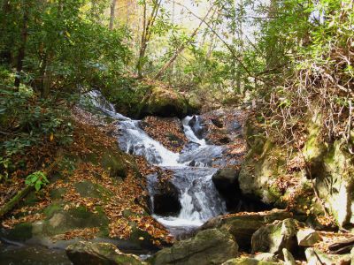 (Upper) Devil's Fork Falls
These falls are near Rocky Fork (not to be confused with the 'Devil's Fork Falls' in the Sampson Wilderness)
October, 2010
