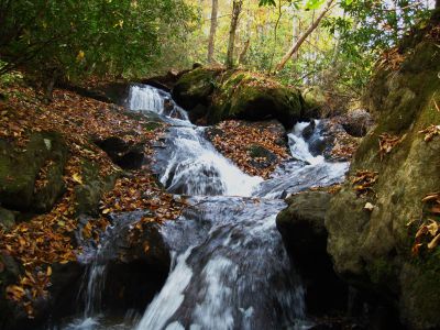 (Upper) Devil's Fork Falls
These falls are near Rocky Fork (not to be confused with the 'Devil's Fork Falls' in the Sampson Wilderness)
October, 2010
