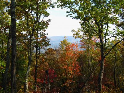 View From The Whitehouse Mountain Trail
Autumn colors with the Bald Mountains in the distance
(the Appalachian Trail follows the ridge-crest)
Rocky Fork, October, 2010
