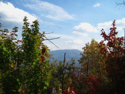 View From The Whitehouse Mountain Trail
Bald Mountain in distance,
Rocky Fork, 
October, 2010
