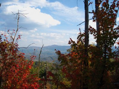 View From The Whitehouse Mountain Trail
High Rocks, Whistling Gap, and Little Bald (from left to right) (the Appalachian Trail follows the ridge-crest)
Rocky Fork, October, 2010
