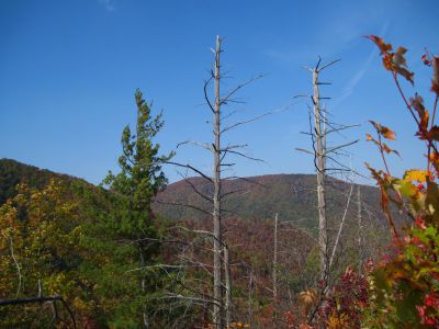 View From Whitehouse Mountain
Frozen Knob and Higgins Ridge on Rich Mountain...
part of large unnamed knob closer in on the left.
Rocky Fork, October, 2010
