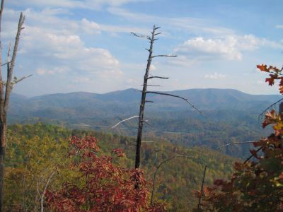 View From Whitehouse Mountain
The Bald Mountains in the distance
(the Appalachian Trail follows the ridge-crest)
Rocky Fork, October, 2010
