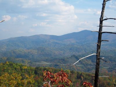 View From Whitehouse Mountain
views of High Rocks, Whistling Gap, and Little Bald Bluff (in the shadow)...(the Appalachian Trail follows the ridge-crest)
Rocky Fork, October, 2010
