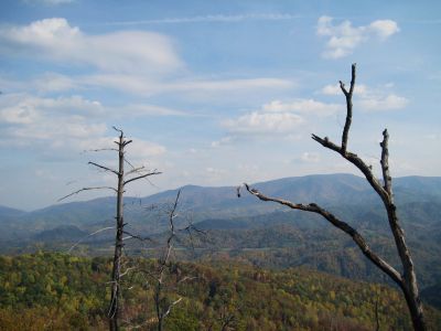 View From Whitehouse Mountain
The Bald Mountains in the distance
(the Appalachian Trail follows the ridge-crest)
Rocky Fork, October, 2010
