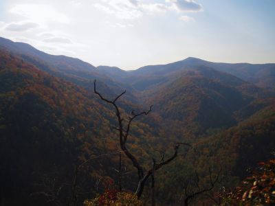 View From Whitehouse Mountain
Looking Toward Flint Gap and the Appalachian Trail,
Rocky Fork, October, 2010

