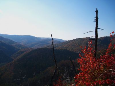 View From Whitehouse Mountain
Looking toward the Butte end of the Sampson Wilderness...Rich Mountain.
Rocky Fork, October, 2010
