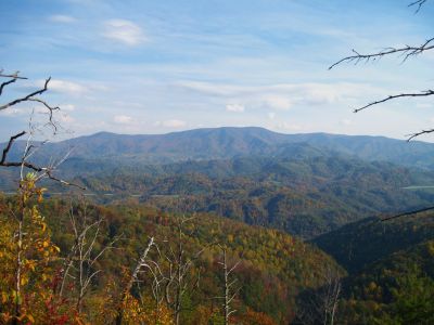 View From Whitehouse Mountain
The Bald Mountains in the distance
(the Appalachian Trail follows the ridge-crest)
Rocky Fork, October, 2010
