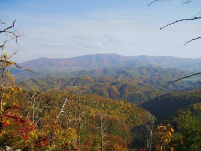 View From Whitehouse Mountain
The Bald Mountains in the distance
(the Appalachian Trail follows the ridge-crest)
Rocky Fork, October, 2010
