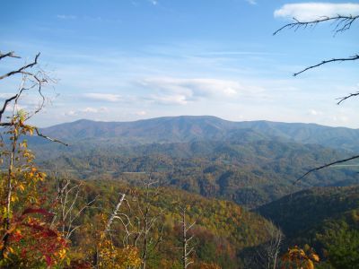 View From Whitehouse Mountain
The Bald Mountains in the distance
(the Appalachian Trail follows the ridge-crest)
Rocky Fork, October, 2010
