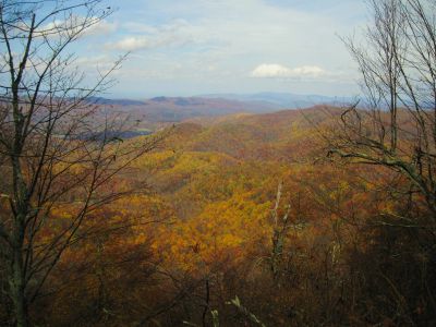 View From Appalachian Trail
Unaka Mountain,
October, 2010

