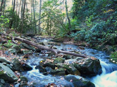 Clarks Creek
10-31-2010
