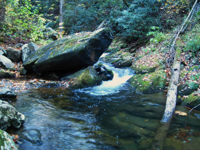 Clarks Creek
10-31-2010
