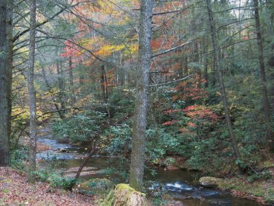 Clarks Creek
10-31-2010
