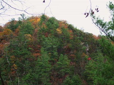 The Jones Branch Overlook
Autumn view of the Overlook Knob,
November, 2010
