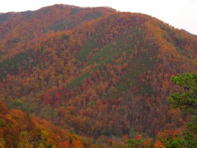 View From Overlook
Sampson Mountain,
Sill Branch Overlook,
10-31-2013
