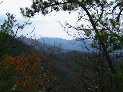 View From Rock Spine
Near Jones Branch Trail, 
November, 2010
