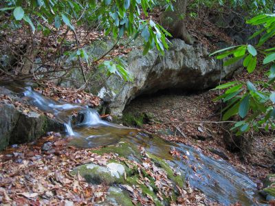 Long Branch Falls
One of the waterfalls on Long Branch
November, 2010
