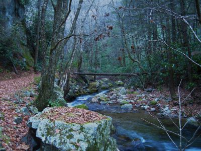 Rocky Fork Creek
November, 2010
