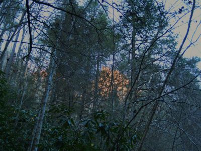 'Stonehenge' Cliffs
aka, Whitehouse Mountain Cliffs...
(as seen from below) catching the Sunlight as the Sun was setting in the Flint Gap.
November, 2010
