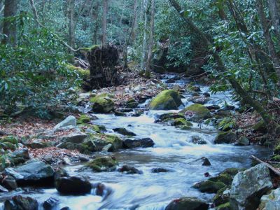Rocky Fork Cascades
November, 2010
