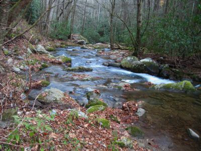 Rocky Fork Creek
November, 2010
