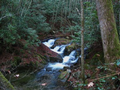 Rocky Fork Cascades
Nice triple-cascading waterfalls in Rocky Fork.
November, 2010
