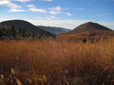 Flat Laurel Creek Trail
View of Li'l Sam and Sam Knob(s)
11-5-2013
