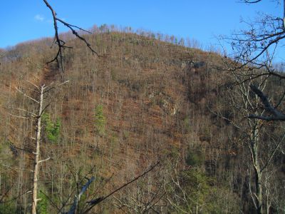 Ascending Longarm Ridge
View of the lower Big Pine Ridge Knob (aka, 'the Volcano'),
November, 2010
