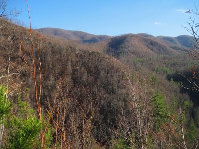 Ascending Longarm Ridge
View of part of the lower Big Pine Ridge Knob (aka, 'the Volcano'), and the second Pine Ridge Knob ('the Pyramid') beyond that.
November, 2010

