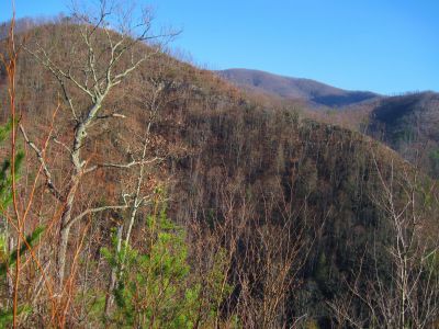 Ascending Longarm Ridge
View of the lower Big Pine Ridge Knob (aka, 'the Volcano'),
November, 2010
