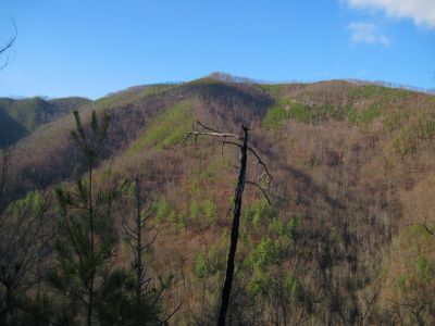 Ascending Longarm Ridge
Flattop, Sampson Mountain,
November, 2010
